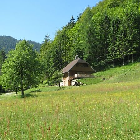 Apartmaji Brloznica Pod Veliko Planino Luče Quarto foto